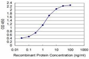 Detection limit for recombinant GST tagged T is approximately 0. (T Brachyury Protein (AA 222-320) 抗体)