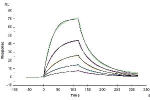 Surface Plasmon Resonance (SPR) image for CD274 (PD-L1) (AA 19-237) protein (Fc Tag) (ABIN7275437)