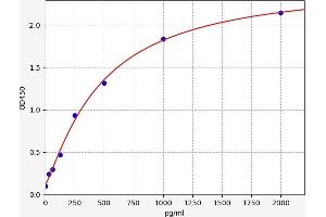 TP53BP1 ELISA 试剂盒