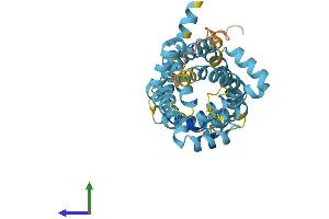 Protein Structure (PS) image for Solute Carrier Family 25 (Mitochondrial Carrier), Member 18 (SLC25A18) (AA 1-320) protein (His tag) (ABIN7561260)