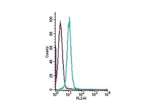 Cell surface detection of GPR84 by direct flow cytometry in live intact human  monocytic leukemia cells: + Rabbit IgG isotype control-PE. (GPR84 抗体  (Extracellular) (PE))