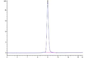 The purity of Cynomolgus PDGF R alpha is greater than 95 % as determined by SEC-HPLC. (PDGFRA Protein (AA 24-524) (His tag))