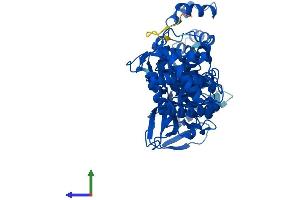 Protein Structure (PS) image for Nicotinate phosphoribosyltransferase (NAPRT) (AA 1-538) protein (His tag) (ABIN7559244)