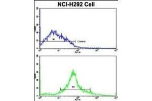 Flow cytometric analysis of NCI- cells using CDK3 Antibody (N-term Y19)(bottom histogram) compared to a negative control cell (top histogram). (CDK3 抗体  (N-Term))