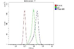 Flow Cytometry analysis of CACO-2 cells using anti-FAM antibody (ABIN7603113). (TFAM 抗体  (N-Term))