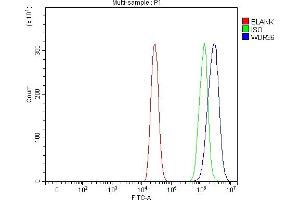 Flow Cytometry analysis of A431 cells using anti-WDR36 antibody (ABIN7602409).