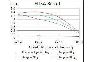 Black line: Control Antigen (100 ng), Purple line: Antigen(10 ng), Blue line: Antigen (50 ng), Red line: Antigen (100 ng), (LC3B 抗体)