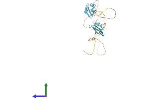 Protein Structure (PS) image for serine/arginine-Rich Splicing Factor 6 (SRSF6) (AA 1-339) protein (His tag) (ABIN7557097)