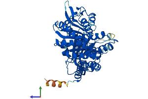 Protein Structure (PS) image for Tubulin, beta (TUBB) (AA 1-444) protein (His tag) (ABIN7544268)