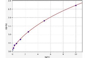 TRAF6 ELISA 试剂盒