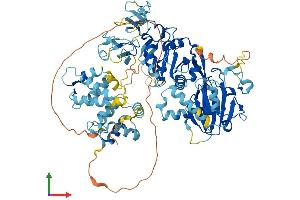 Protein Structure (PS) image for DAG Kinase gamma (AA 1-791) protein (His tag) (ABIN7547024)