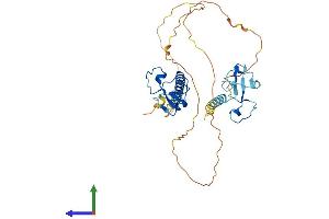 Protein Structure (PS) image for Muscleblind-Like Splicing Regulator 3 (MBNL3) (AA 1-354) protein (His tag) (ABIN7549201)