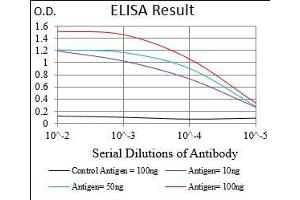 ELISA image for anti-Calcium/calmodulin-Dependent Protein Kinase II gamma (CAMK2G) (AA 322-481) antibody (ABIN2682978)