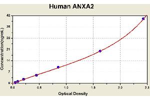 Diagramm of the ELISA kit to detect Human ANXA2with the optical density on the x-axis and the concentration on the y-axis. (Annexin A2 ELISA 试剂盒)