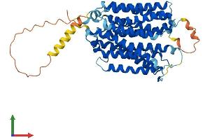 Protein Structure (PS) image for Solute Carrier Family 29 (Nucleoside Transporters), Member 2 (SLC29A2) (AA 1-456) protein (His tag) (ABIN7545943)