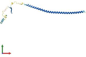 Protein Structure (PS) image for Stathmin 3 (STMN3) (AA 1-180) protein (His tag) (ABIN7546423)
