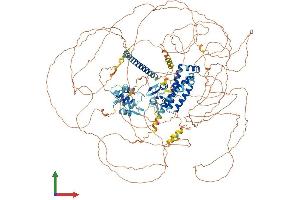 AlphaFold protein structure predicition of Human Recombinant SYNRG Protein, UniprotID Q9UMZ2