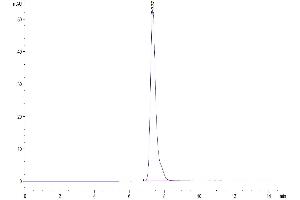 The purity of Human TNFR1 is greater than 95 % as determined by SEC-HPLC.