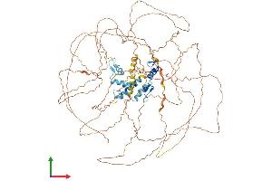 Protein Structure (PS) image for Zinc Finger Protein 281 (ZNF281) (AA 1-895) protein (His tag) (ABIN7556098)