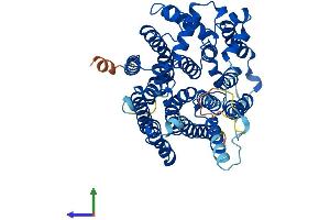Protein Structure (PS) image for Asparagine-Linked Glycosylation 8, alpha-1,3-Glucosyltransferase Homolog (ALG8) (AA 1-526) protein (His tag) (ABIN7552113)