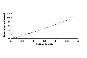 Typical standard curve (MPST ELISA 试剂盒)