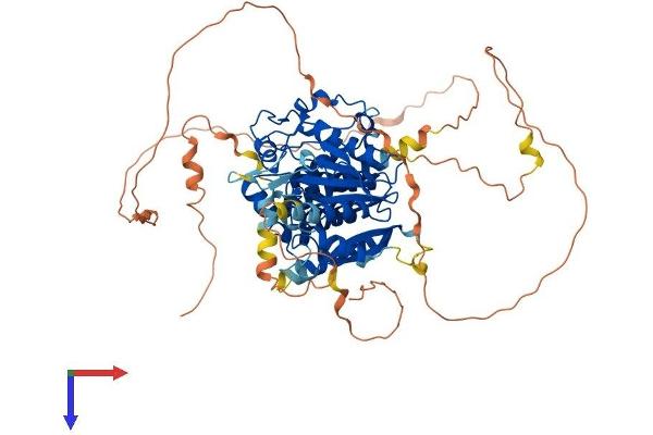 MTMR14 Protein (AA 1-648) (His tag)