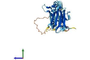 AlphaFold protein structure predicition of Human Recombinant PIH1D2 Protein, UniprotID Q8WWB5