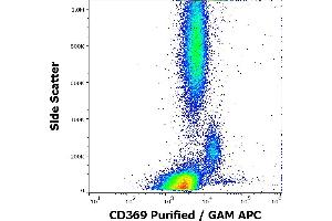 Flow cytometry surface staining pattern of human peripheral whole blood stained using anti-human CD369 (15E2) purified antibody (concentration in sample 1,7 μg/mL, GAM APC).