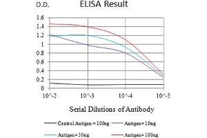 Black line: Control Antigen (100 ng),Purple line: Antigen (10 ng), Blue line: Antigen (50 ng), Red line:Antigen (100 ng) (LRP3 抗体  (AA 43-184))