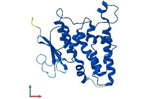 Protein Structure (PS) image for Chloride Intracellular Channel 3 (CLIC3) (AA 1-236) protein (His tag) (ABIN7546614)