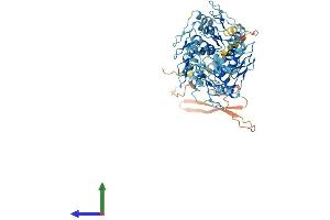 AlphaFold protein structure predicition of Human Recombinant ZNF571 Protein, UniprotID Q7Z3V5