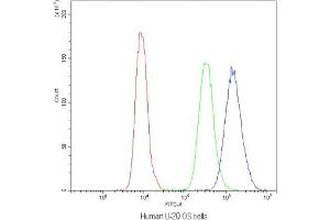 Flow cytometry testing of human U-2 OS cells with NFAT4 antibody at 1ug/10^6 cells (blocked with goat sera) (NFATC3 抗体)
