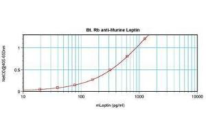 Image no. 2 for anti-Leptin (LEP) antibody (Biotin) (ABIN465756) (Leptin 抗体  (Biotin))