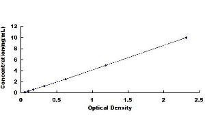 Typical standard curve (MARCKS ELISA 试剂盒)