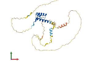 AlphaFold protein structure predicition of Mouse Recombinant Pitx3 Protein, UniprotID O35160