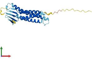 Protein Structure (PS) image for Claudin 4 (CLDN4) (AA 1-210) protein (His tag) (ABIN7562259)