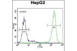 Flow cytometric analysis of HepG2 cells (right histogram) compared to a negative control cell (left histogram). (TIGD3 抗体  (C-Term))