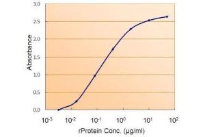 AP26003PU-N SMAD9 antibody (1. (SMAD9 抗体  (Internal Region))