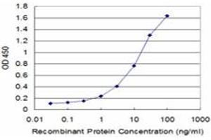 Detection limit for recombinant GST tagged USP9X is approximately 0. (USP9X 抗体  (AA 1-90))