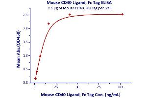 Binding Studies (Bind) image for CD40 Ligand (CD40LG) (AA 115-260) (Active) protein (Fc Tag) (ABIN4949167)