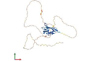 Protein Structure (PS) image for Starch Binding Domain 1 (STBD1) (AA 1-338) protein (His tag) (ABIN7559185)