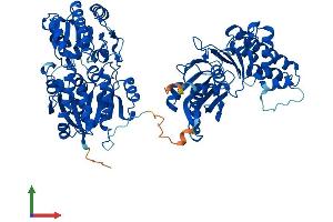 Protein Structure (PS) image for Glucosamine (UDP-N-Acetyl)-2-Epimerase/N-Acetylmannosamine Kinase (GNE) (AA 1-722) protein (His tag) (ABIN7554014)
