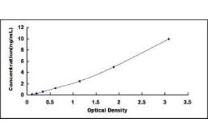 Typical standard curve (SCGB3A2 ELISA 试剂盒)