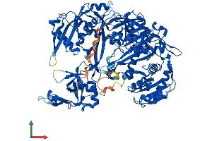 AlphaFold protein structure predicition of Human Recombinant AGO2 Protein, UniprotID Q9UKV8