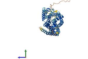 Protein Structure (PS) image for Solute Carrier Family 38 Member 1 (SLC38A1) (AA 1-485) protein (His tag) (ABIN7559515)