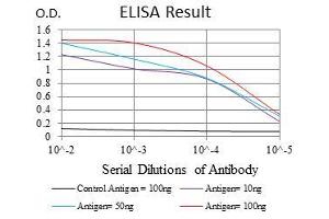 Black line: Control Antigen (100 ng), Purple line: Antigen(10 ng), Blue line: Antigen (50 ng), Red line: Antigen (100 ng), (PHC1 抗体  (AA 758-1004))