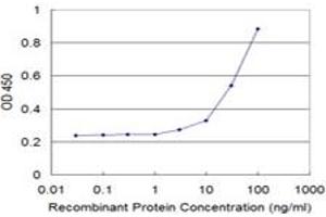 Detection limit for recombinant GST tagged NCOA4 is approximately 3ng/ml as a capture antibody. (NCOA4 抗体  (AA 505-614))