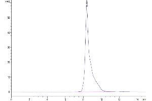 The purity of Cynomolgus HLA-G is greater than 95 % as determined by SEC-HPLC. (HLAG Protein (AA 25-305, Monomer) (His-Avi Tag,Peptide (RIIPRHLQL)))