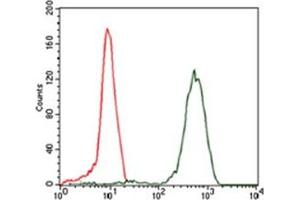 Flow Cytometry (FACS) image for anti-Eukaryotic Translation Initiation Factor 4B (EIF4B) antibody (ABIN1107074) (EIF4B 抗体)