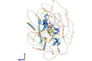AlphaFold protein structure predicition of Mouse Recombinant Rere Protein, UniprotID Q80TZ9